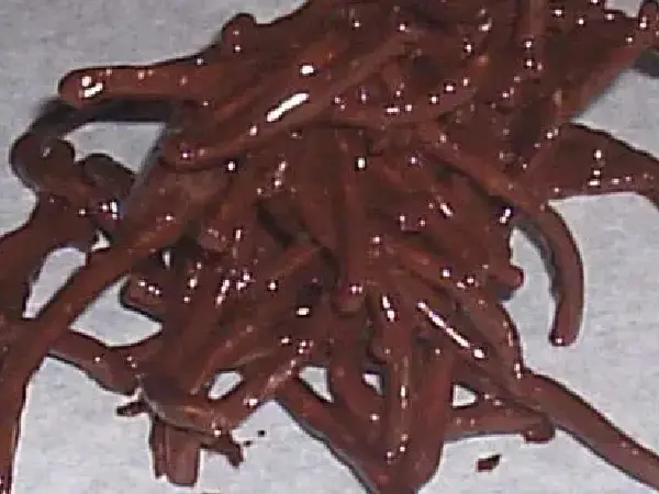 A pile of chocolate covered pretzels on top of paper.