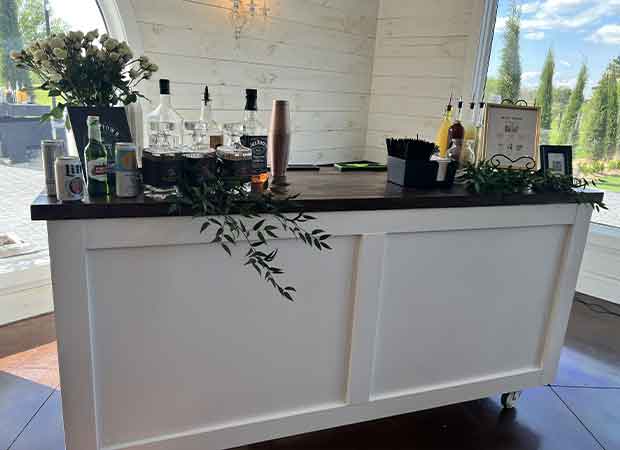 A counter with plants on top of it.